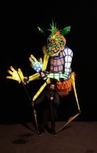 Hippotato - Photo : Achromatik